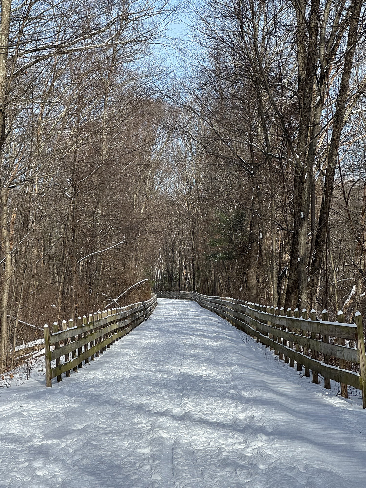 snow covered trail